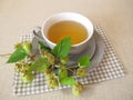 Hops tea, herbal tea with hop flowers Royalty Free Stock Photo
