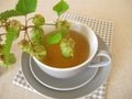 Hops tea, herbal tea with hop flowers Royalty Free Stock Photo