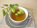 Hops tea, herbal tea with hop flowers Royalty Free Stock Photo