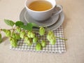 Hops tea, herbal tea with hop flowers Royalty Free Stock Photo