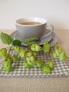 Hops tea, herbal tea with hop flowers Royalty Free Stock Photo