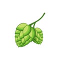 Hops vector visual graphic icon or logo, ideal for beer, stout, ale, lager Royalty Free Stock Photo