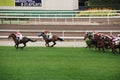 Horce racing in Hong Kong