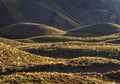 Horcones Valley in Mendoza Province, Argentina Royalty Free Stock Photo