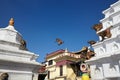 Horde of monkeys jumping between religious buildings