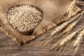 Hordeum vulgare - Dried pearl barley in a wooden bowl Royalty Free Stock Photo