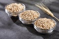 Hordeum vulgare - Pearl barley in three glass bowls Royalty Free Stock Photo