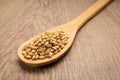 Barley cereal grain. Spoon and grains over wooden table. Royalty Free Stock Photo