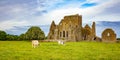 Hore Abbey Irish landscape Royalty Free Stock Photo