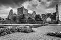 Hore Abbey Royalty Free Stock Photo