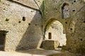 Hore Abbey, ruined Cistercian monastery near the Rock of Cashel, Ireland Royalty Free Stock Photo