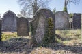 Old Jewish Cemetery in Horice town is very large and well-preserved