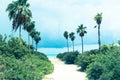 Horizon ahead at end of white sandy path leading between rows of Royalty Free Stock Photo