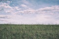 Horizon - grass on the meadow and sky with cloud