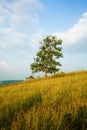 Horizon Hills Vazhayur Hill View The vagamon of Malappuram