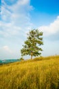 Horizon Hills Vazhayur Hill View The vagamon of Malappuram