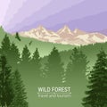 Wild forest. Sunrise, mountains, pine and spruce. Eagles, and birds in flight. Tourism and travel. Camping. The horizon line