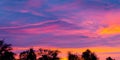 The horizon is painted with the silhouette of trees against a backdrop of colorful monsoon clouds during sunset Royalty Free Stock Photo