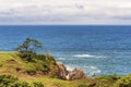 Horizon view from high above Yaquina Head