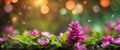 Horizontal Anamorphic Display Bokeh Concept For Background