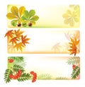 Horizontal autumn banners Royalty Free Stock Photo