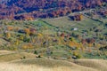 Horizontal autumn mountain landscape with stacks, animals, fence