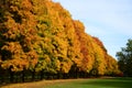 Horizontal Autumn Park