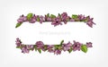 Horizontal background, border or frame decorated with beautiful pink blooming magnolia flowers and green leaves Royalty Free Stock Photo