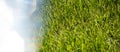 Horizontal background with bright blurred part of bokeh and green grass