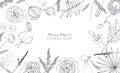 Horizontal background with flowers for advertising, floral shop, salon. Hand drawn monochrome composition with place for