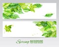 Horizontal background with green leaves and blots of paint. watercolor vector