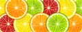 Horizontal Background of Juicy Citrus Fruits