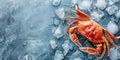 banner for fish market, fresh seafood, big red crab lying on crushed ice, ice cubes, food preservation, blue background