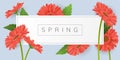 Horizontal banner with frame and red gerbera daisy flower Royalty Free Stock Photo