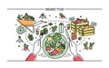 Horizontal banner with organic food. Composition with vegetables on plate, different fresh products, greenery, fruit