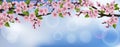 Horizontal banner with realistic cherry tree with flowers and leaves
