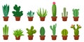 Horizontal banner set of desert, room green cactus. Flat, cartoon style. Vector illustration white background. Element