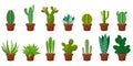 Horizontal banner set of desert, room green cactus. Flat, cartoon style. Vector illustration white background. Element