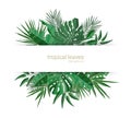 Horizontal banner template decorated with green foliage of tropical paradise plants or green exotic palm leaves. Elegant Royalty Free Stock Photo