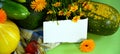 A horizontal banner with a text field. The harvest of vegetables. Autumn still life with vegetables, a basket of flowers and a Royalty Free Stock Photo