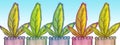 Horizontal banner of three-leaf plants