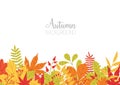 Horizontal banner with various colorful autumn tree leaves at bottom edge and place for text on white background Royalty Free Stock Photo