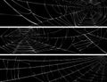 Horizontal banner of web of spider.