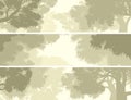 Horizontal banners crown of trees against the sky. Royalty Free Stock Photo