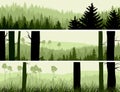 Horizontal banners of hills coniferous wood.