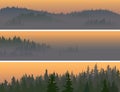 Horizontal banners of misty coniferous wood. Royalty Free Stock Photo