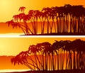 Horizontal banners of palm trees on beach at sunset. Royalty Free Stock Photo