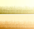 Horizontal banners silhouettes of corn field and cereal grass in front of it. Royalty Free Stock Photo