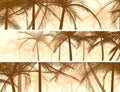 Horizontal banners silhouettes of palms.