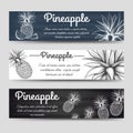 Horizontal banners template with pineapple